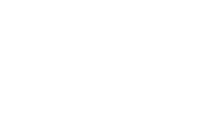 Energy Saving Genie Logo White
